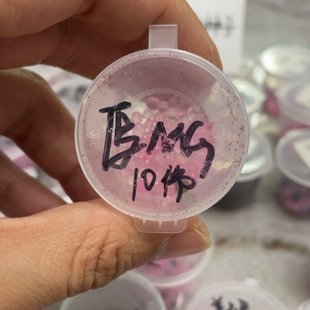 厚叶✖️麦秆20粒，新品新手推荐