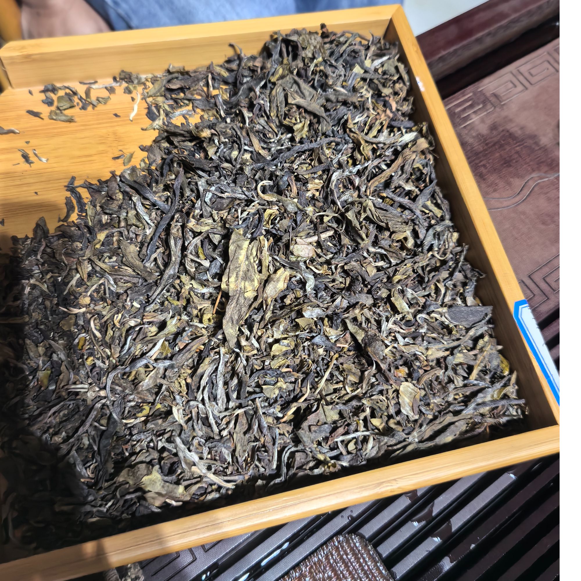 《懿仓号严选》2024年百家茶（料体碎介意勿拍）500g普洱生茶