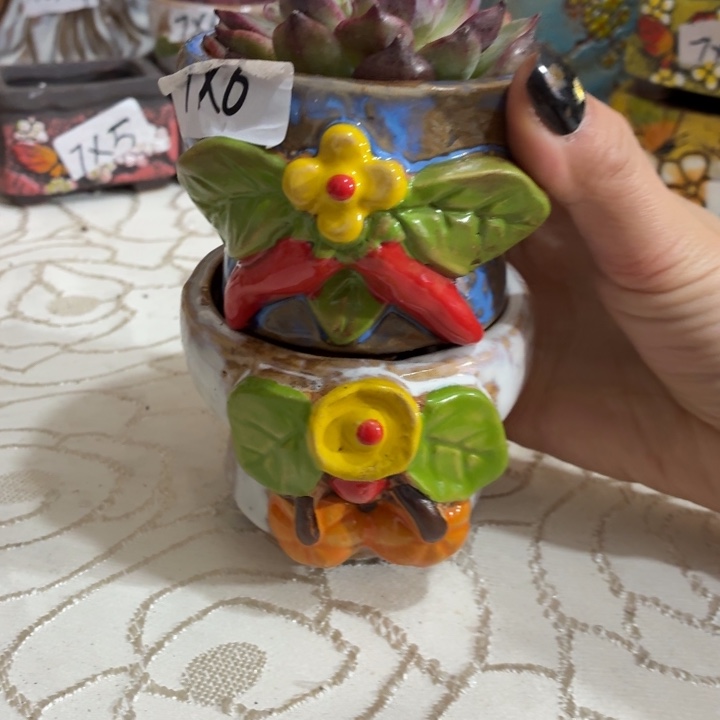 多肉花盆满15包邮