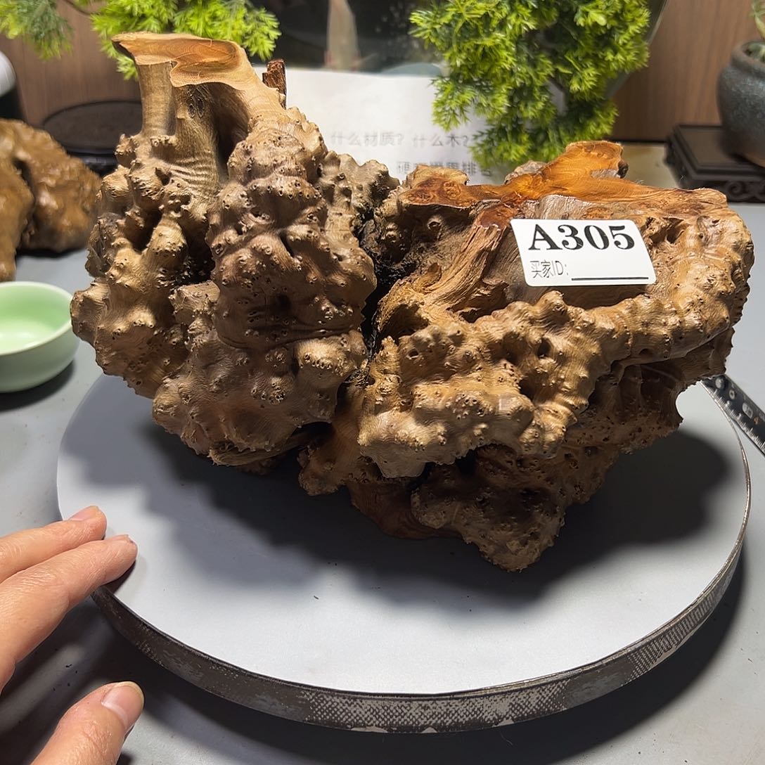 用***2大果紫檀（缅甸花梨）