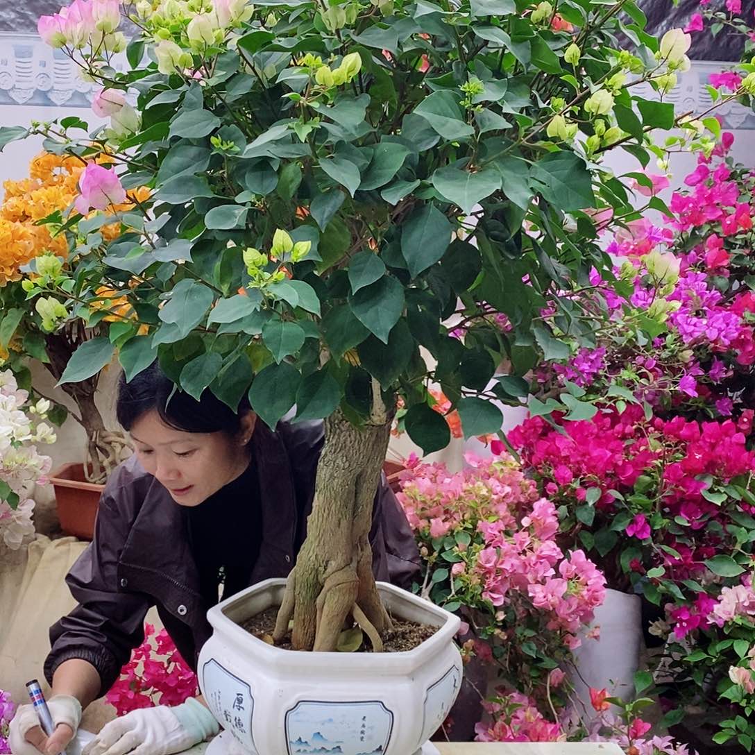 完全开放我要好好学习