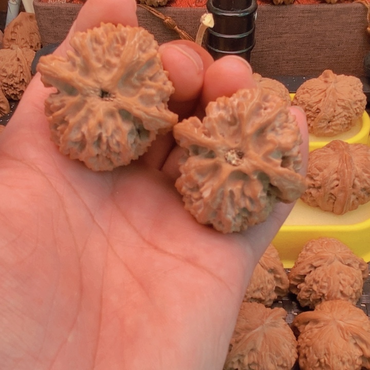 核桃手串/手链用****6苹果元狮子头41尺