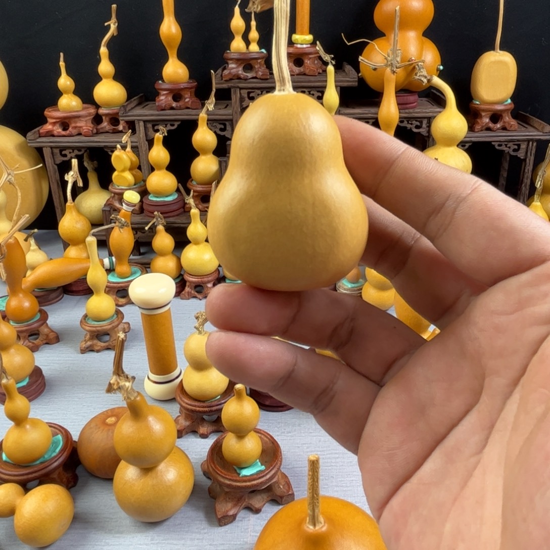 浮***梦藤木我的小可爱，一点也不像个女孩