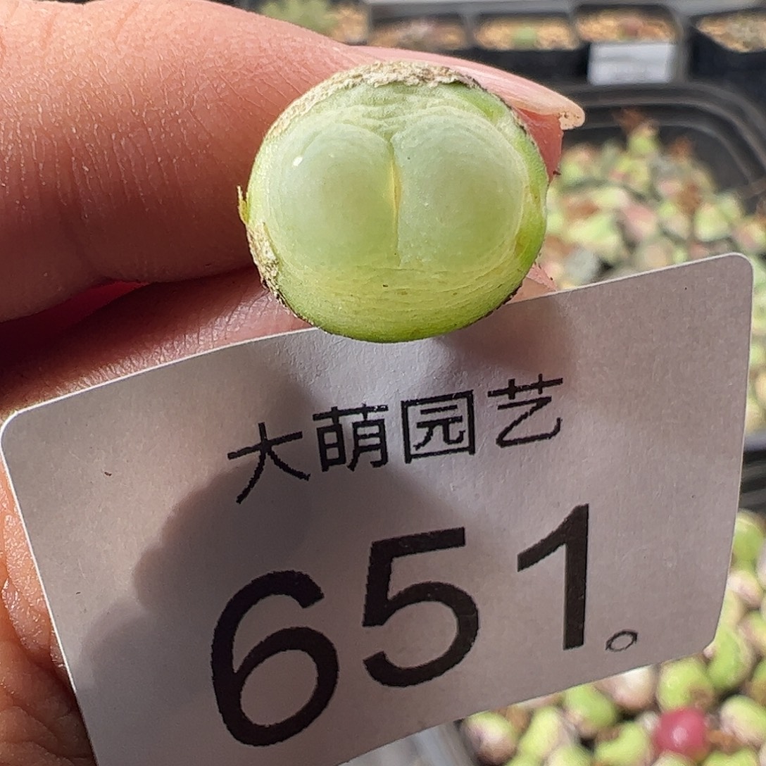 一物一拍。    干疤福利651