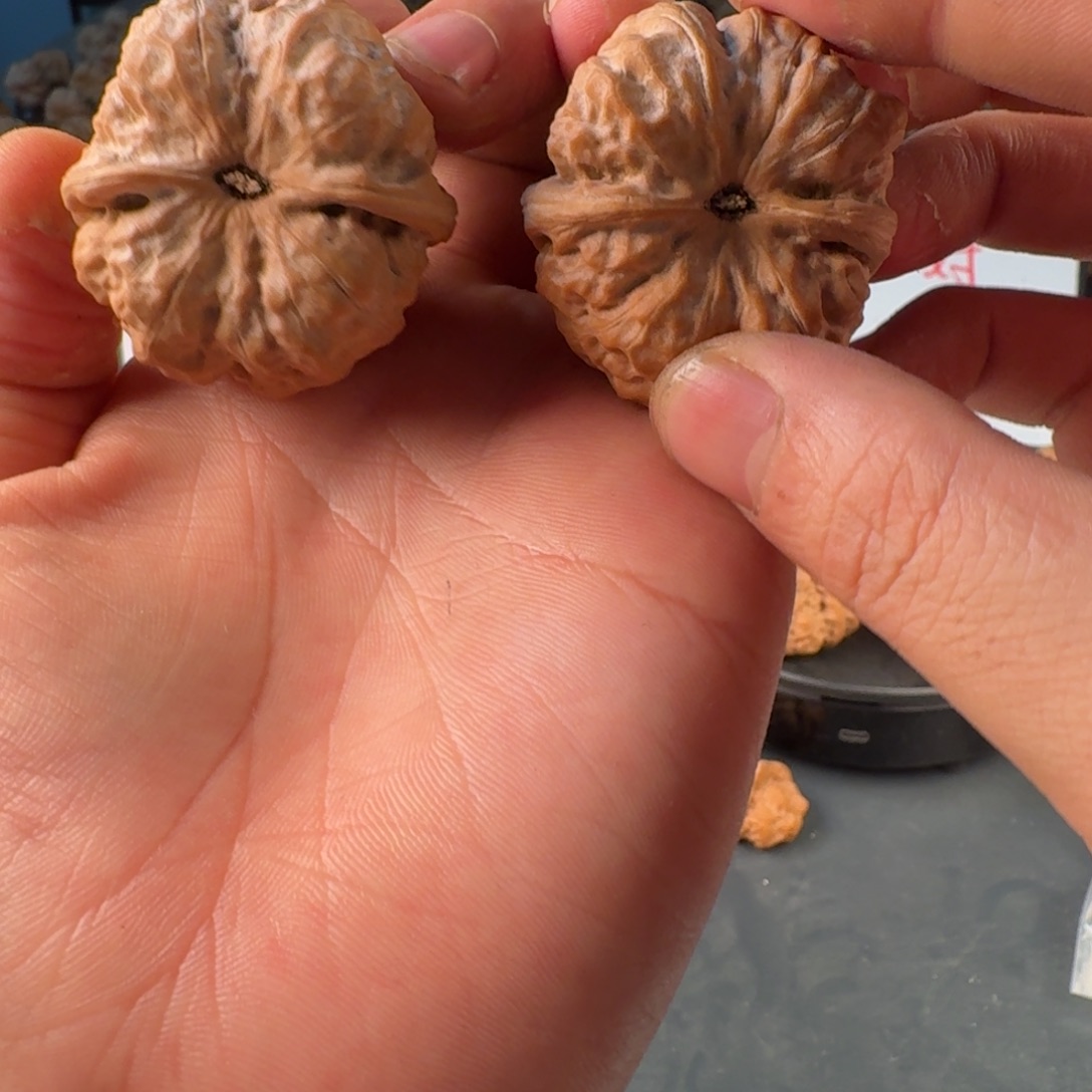 ****n吊坠文玩核桃蛤蟆的眼睛是真的好看啊