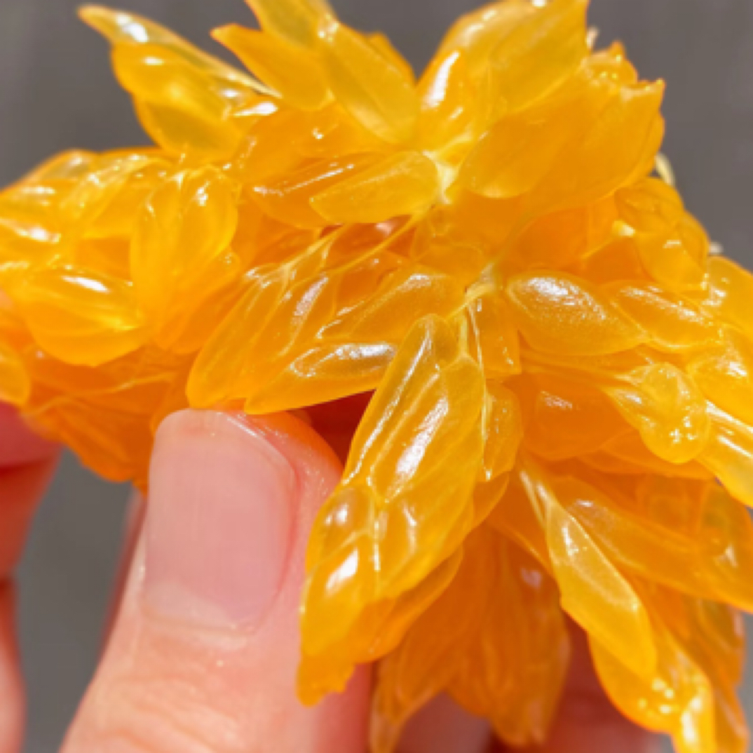 春见粑粑柑 (好甜)