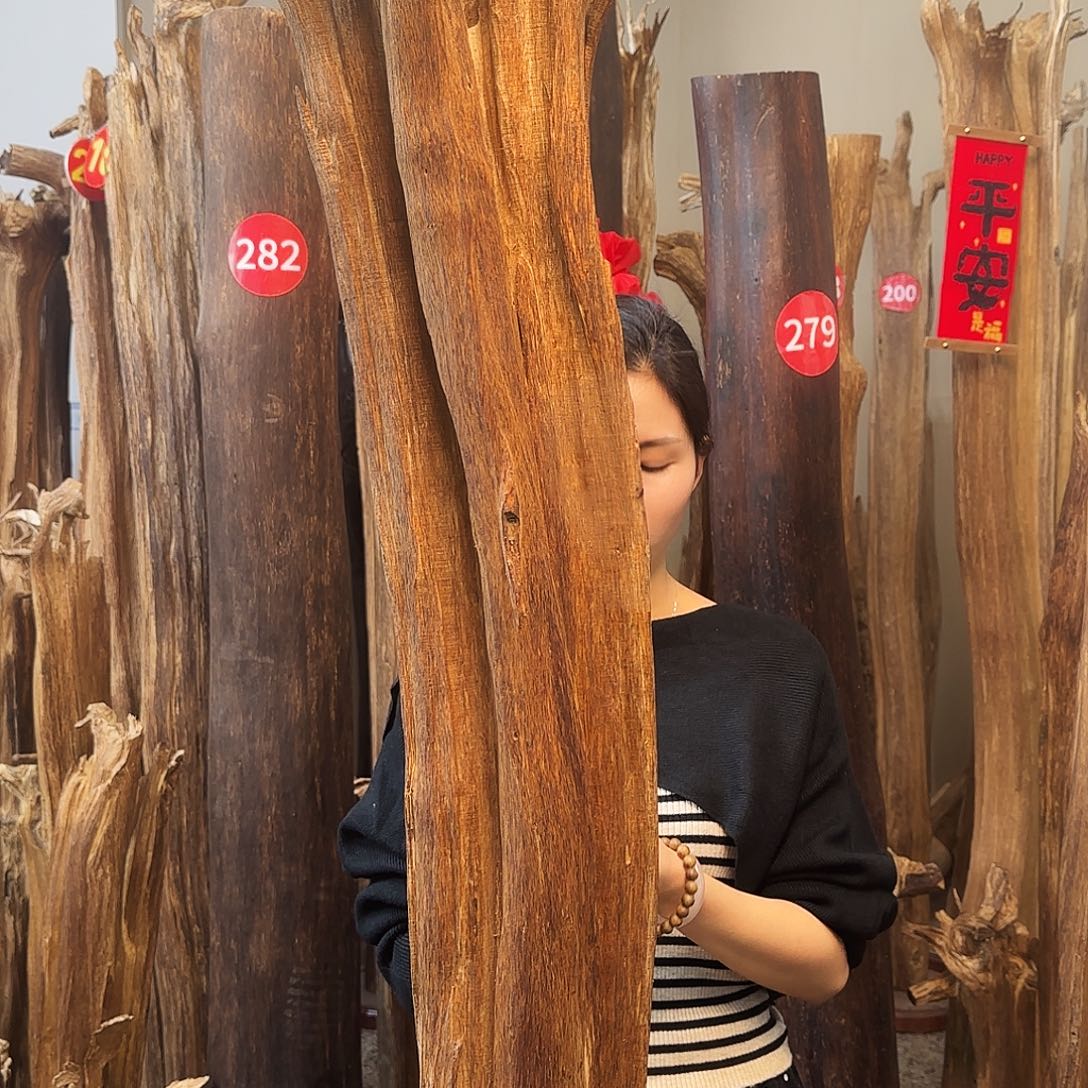 沉香摆件沉香原木工艺品摆件➕底座