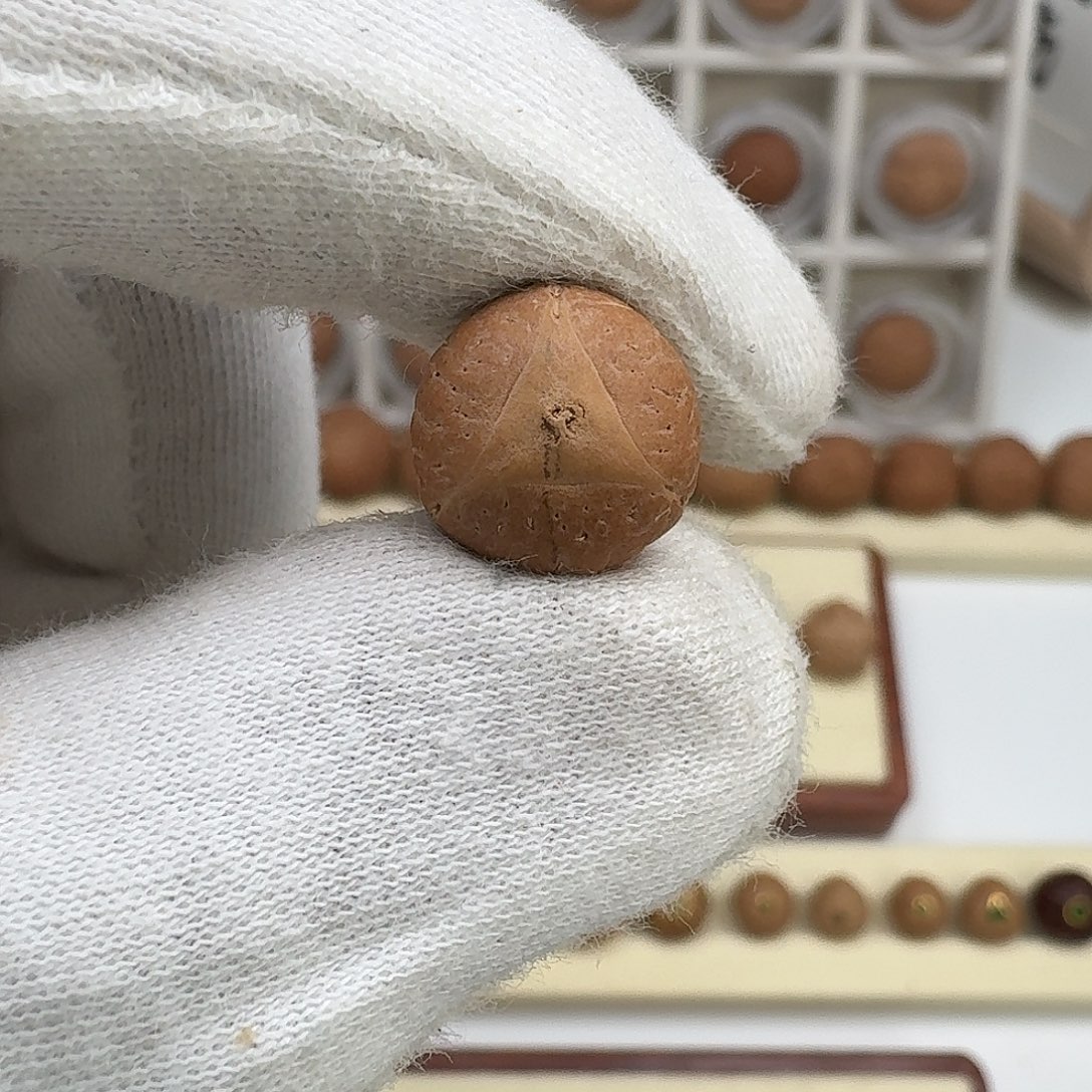 观***涛麒麟眼菩提吊坠客定龙眼顶珠（不打孔/不封眼）12.3/11.4