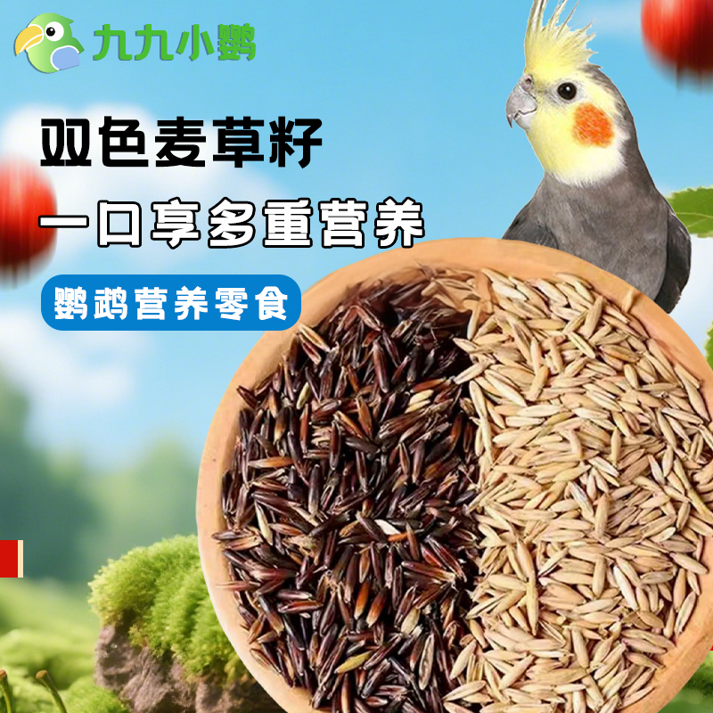 九九小鹦双色白玉黑金麦草籽鸟粮带壳麦草子牡丹虎皮鹦鹉零食籽