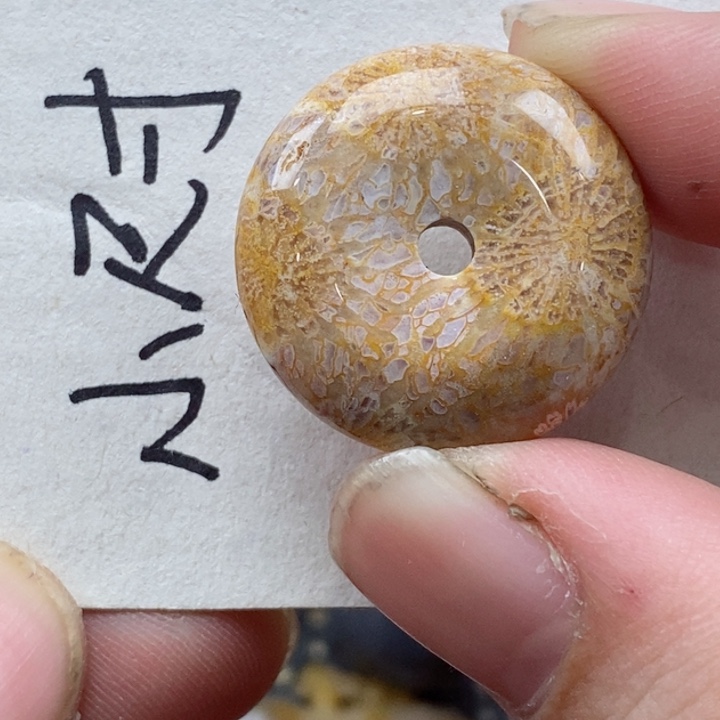 颈饰未镶嵌硅化珊瑚（珊瑚玉）