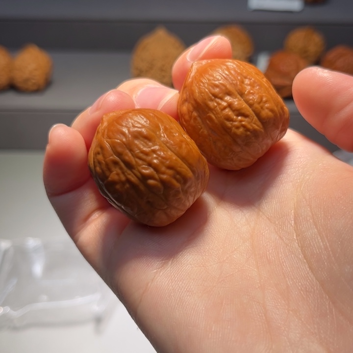 把件文玩核桃将军膀655