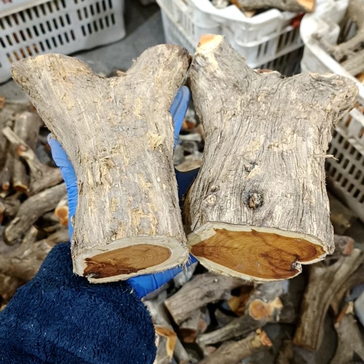 满***辰香榧木崖柏原叉崖柏原叉崖柏