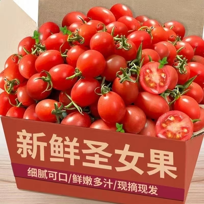 千禧小番茄新鲜应季爆汁酸甜可口水果零食蔬菜代餐果蔬当季包邮