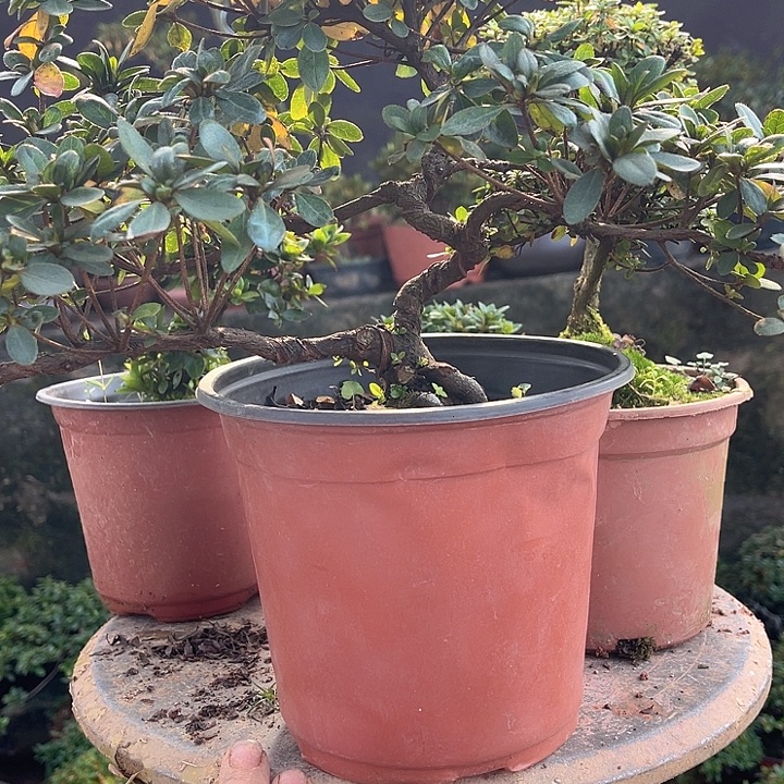 完全开放12346789