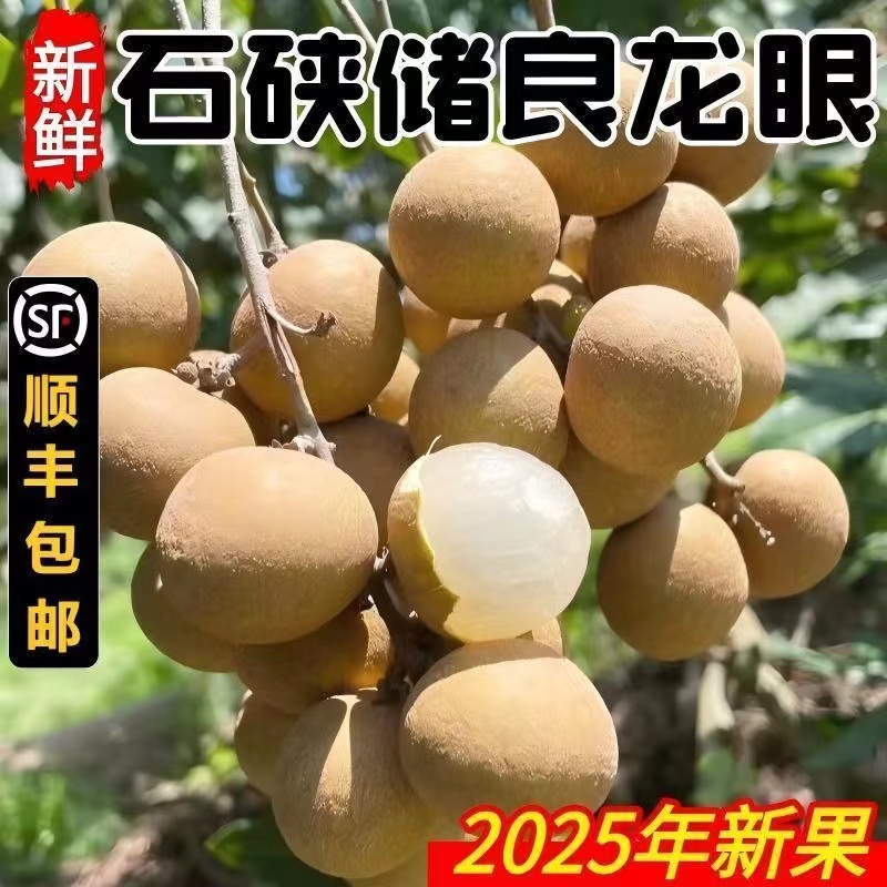 （顺丰冷链）广东龙眼新鲜石硖鲜果当季新鲜爆甜桂圆一整箱