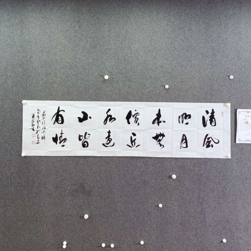 【闪购商品】书法书法书法作品欣赏，书法