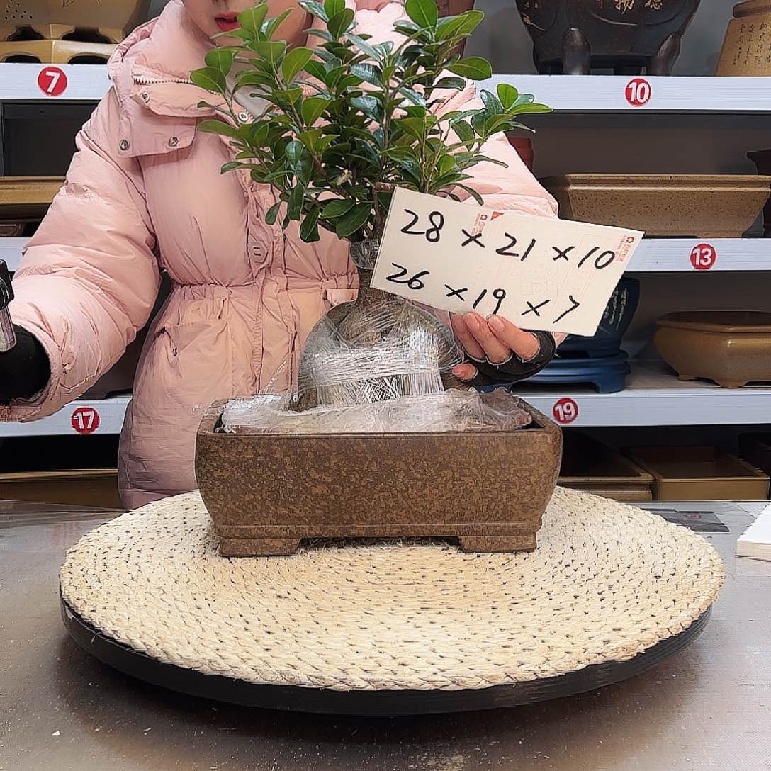 紫砂花盆花盆花盆