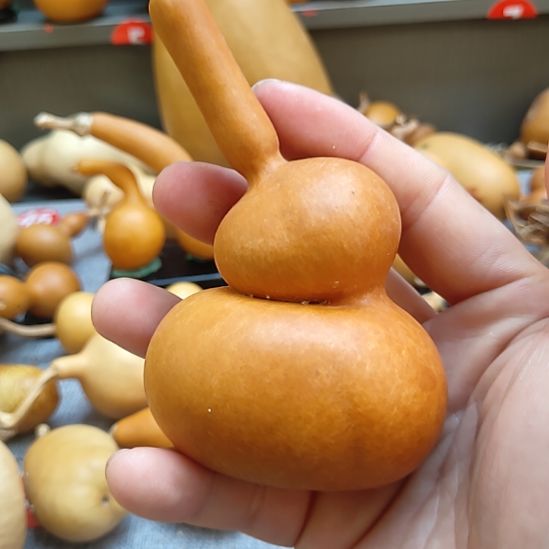 家***金葫芦娃娃娃娃娃娃娃娃娃娃娃娃