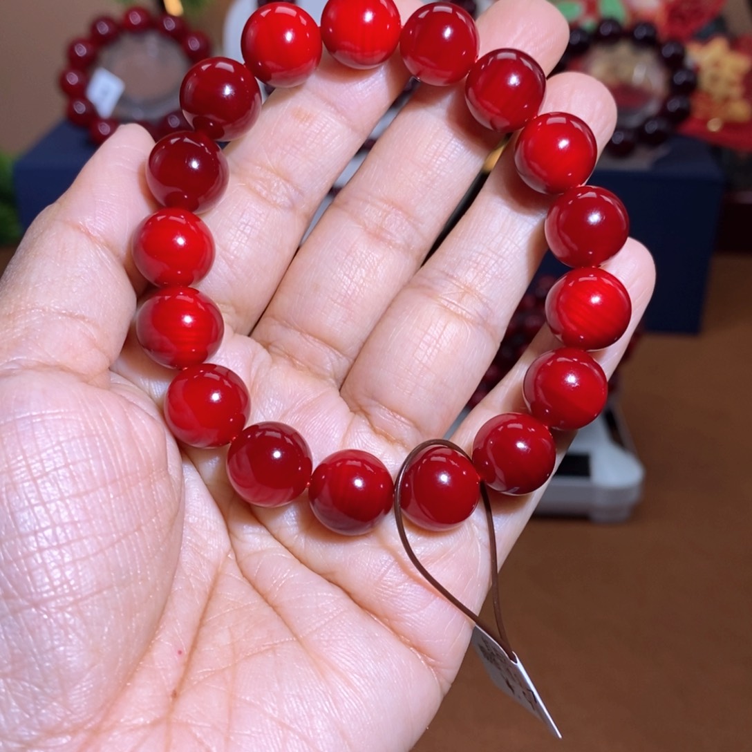 贝壳杉帝王血龙木1.2