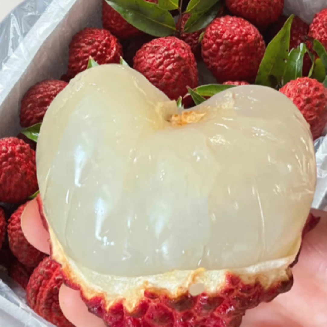 【次日达】新鲜海南火山荔枝王1-3斤顺丰包邮海南省