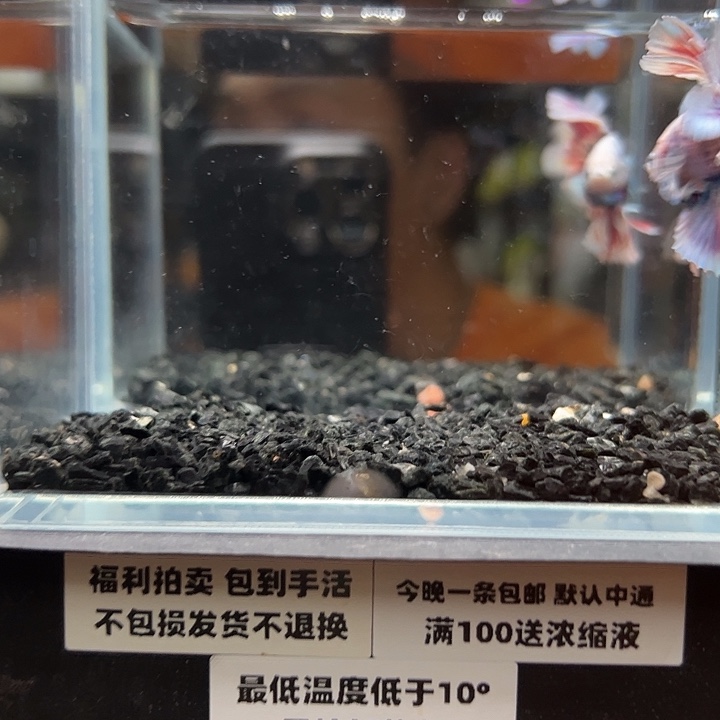斗鱼跑单拉黑24日115