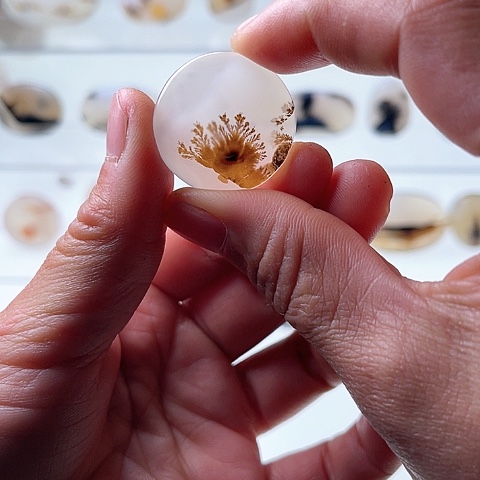 【闪购商品】玛瑙/玉髓珠宝半成品未镶嵌