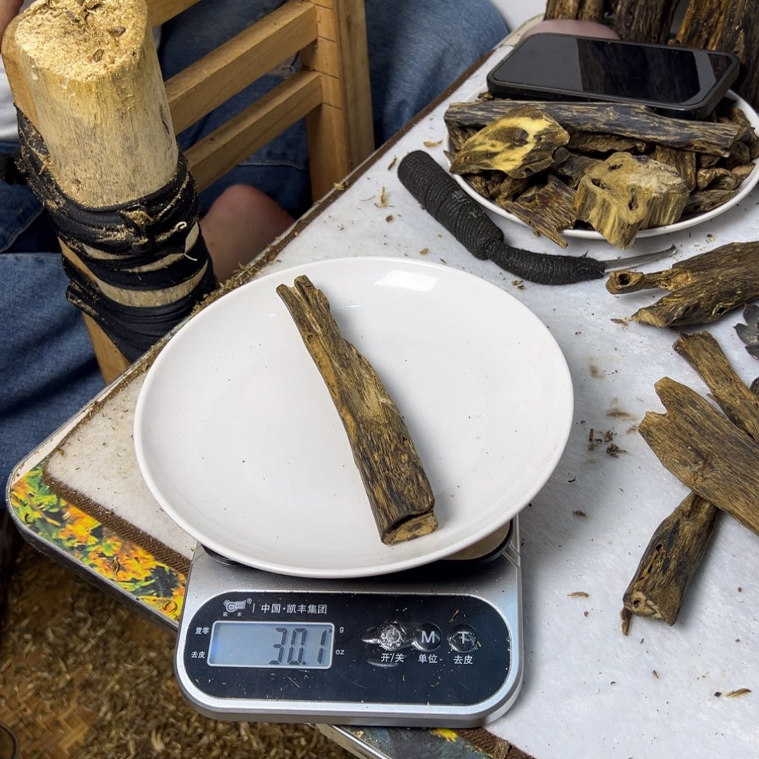 线香奇楠虫漏香30克