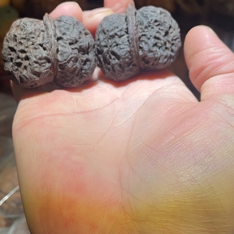 文玩核桃把件黑山老蟾41