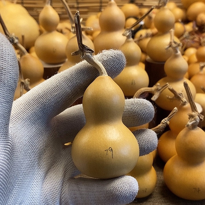 文玩葫芦 完美主义者 慎拍79