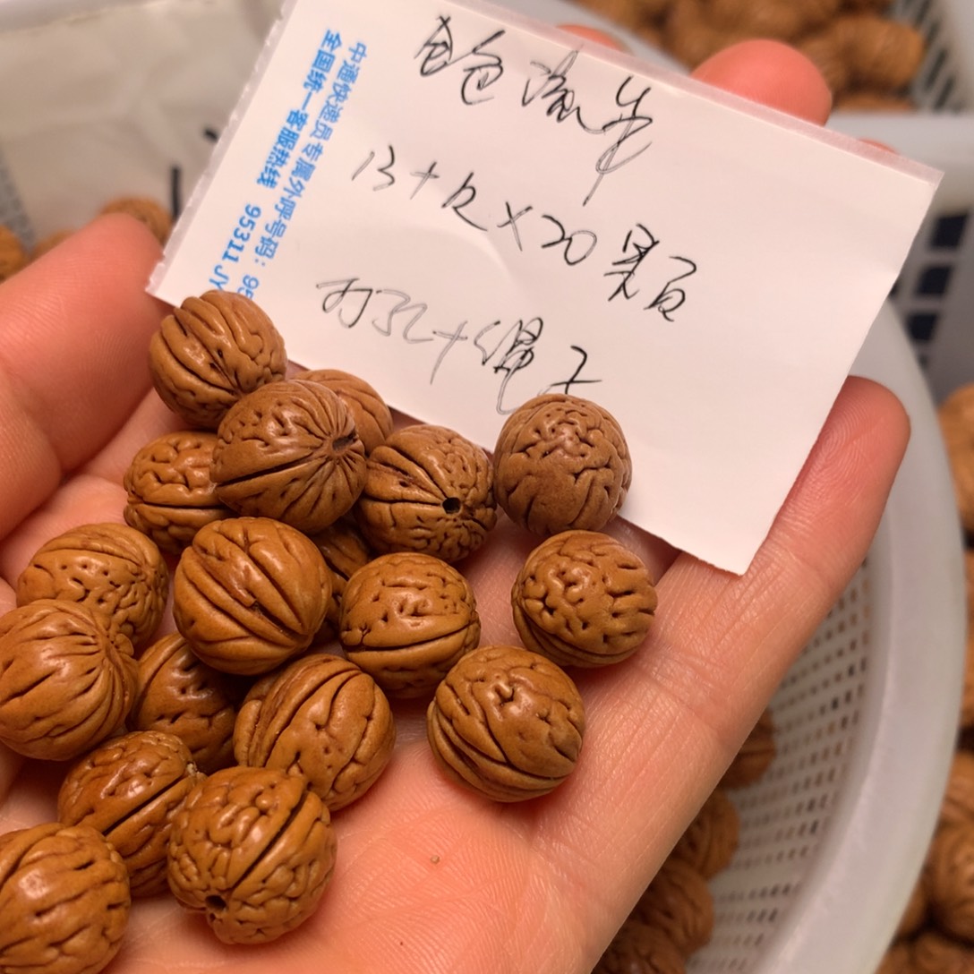 秦岭野生小馒头13尺寸