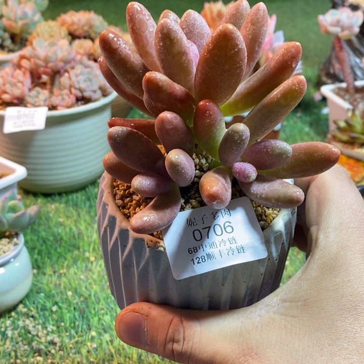 0706啊啊啊啊啊啊啊啊啊啊