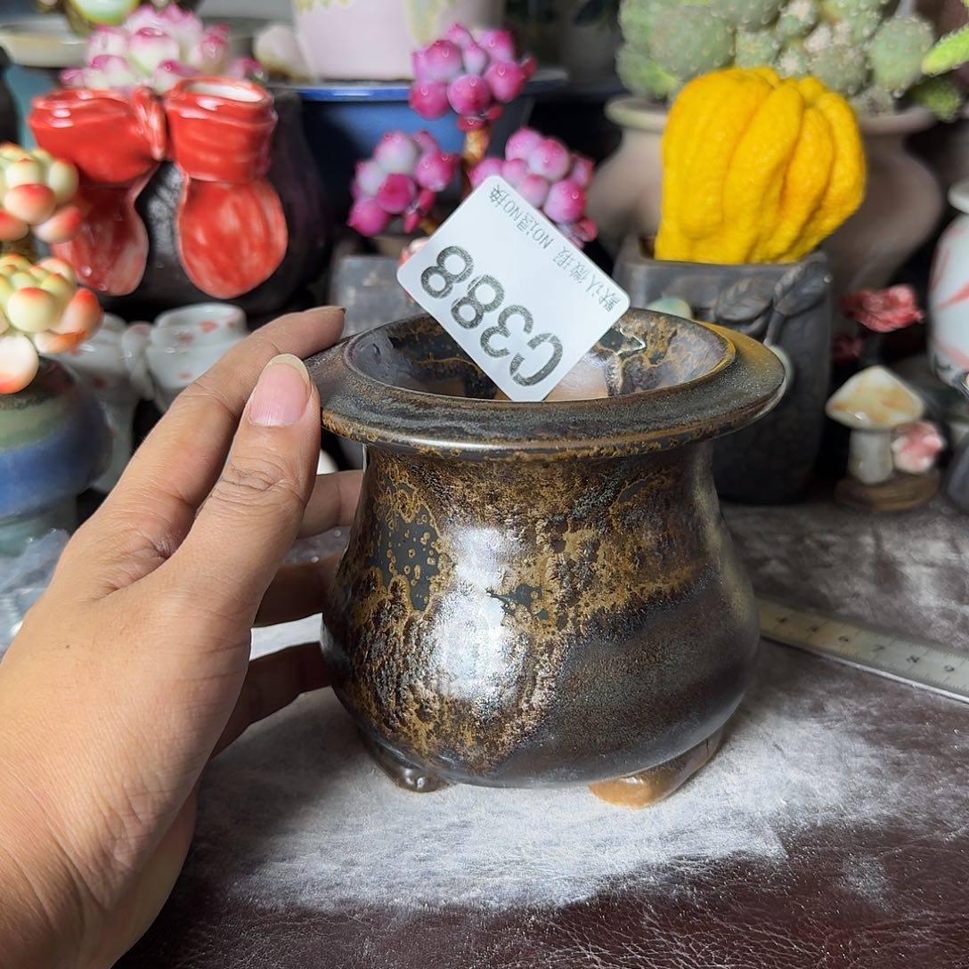 重庆小燕子欢迎大家388