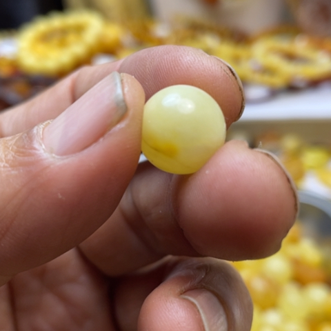 手串植物珀未镶嵌吊坠