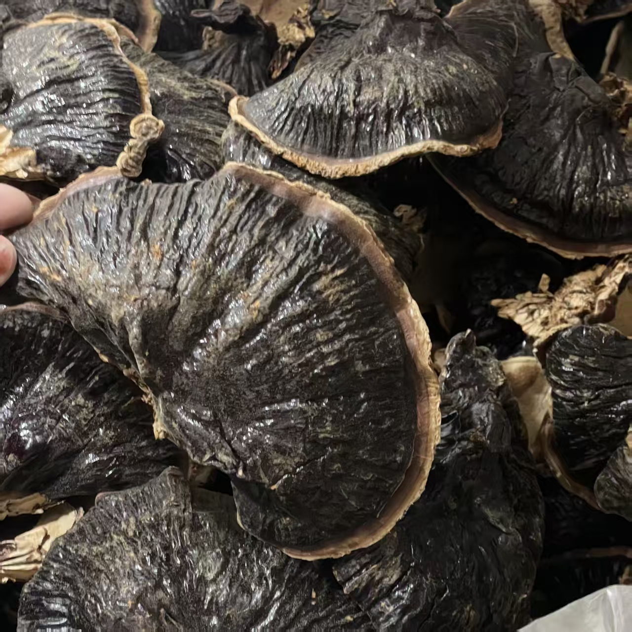 优质雅货黑灵芝菇250g