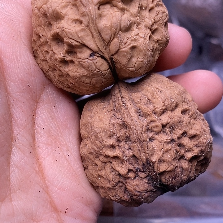 吊坠文玩核桃  143