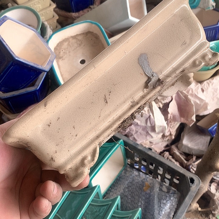 紫砂没有你喜欢吃