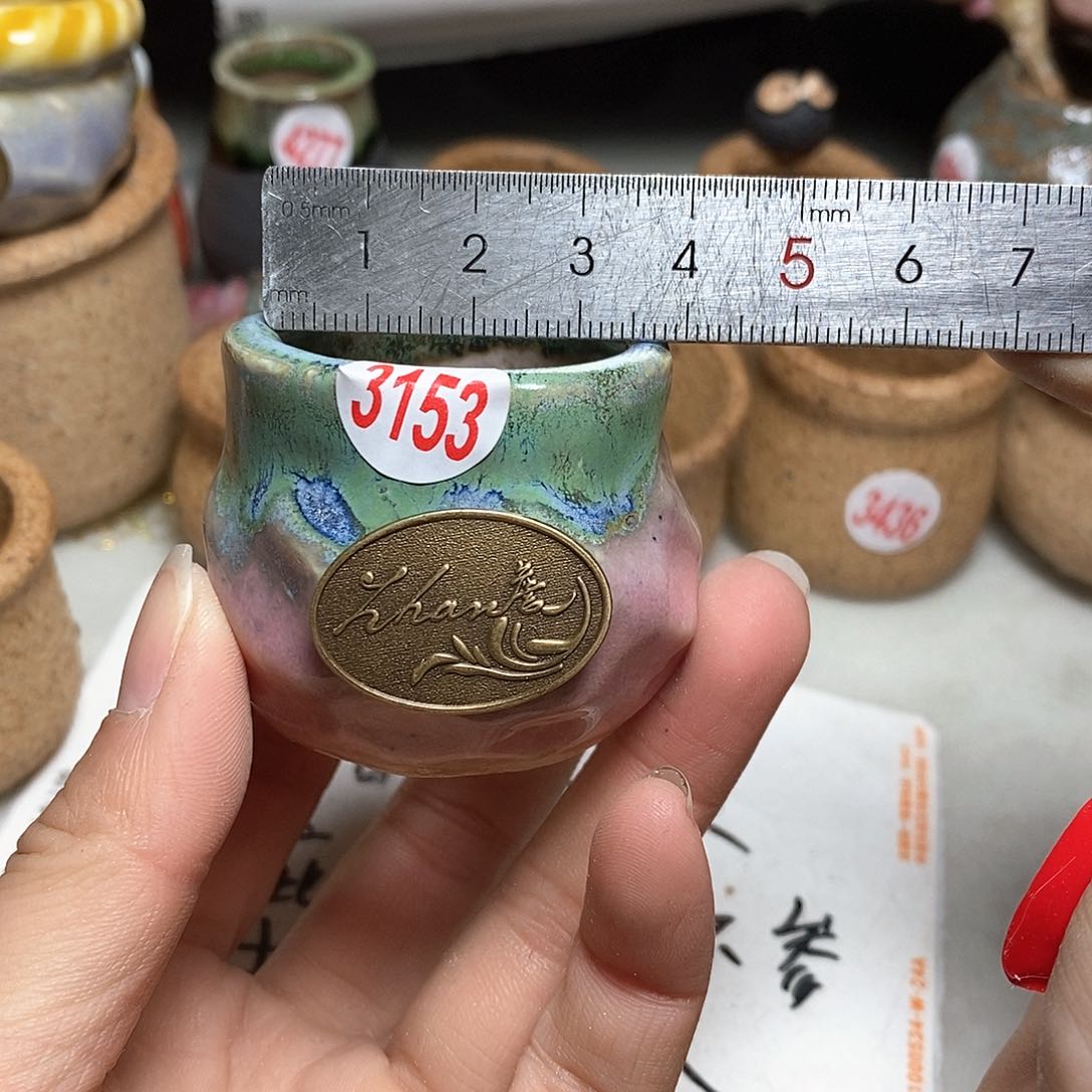 红陶拍5送一个小