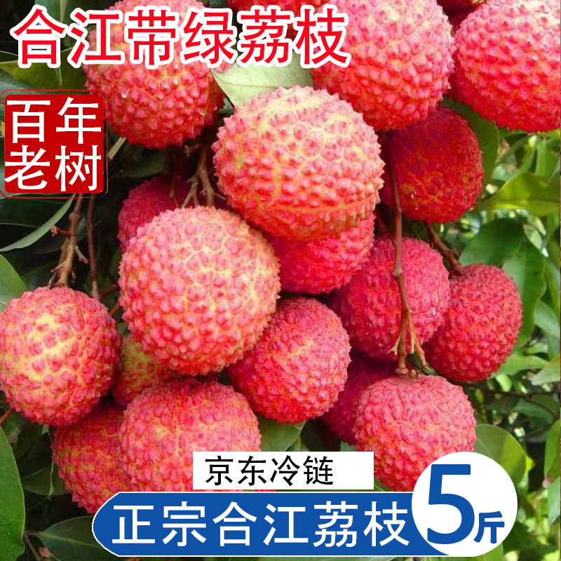 京东包邮/四川泸州合江带绿荔枝新鲜现摘现发5斤包邮