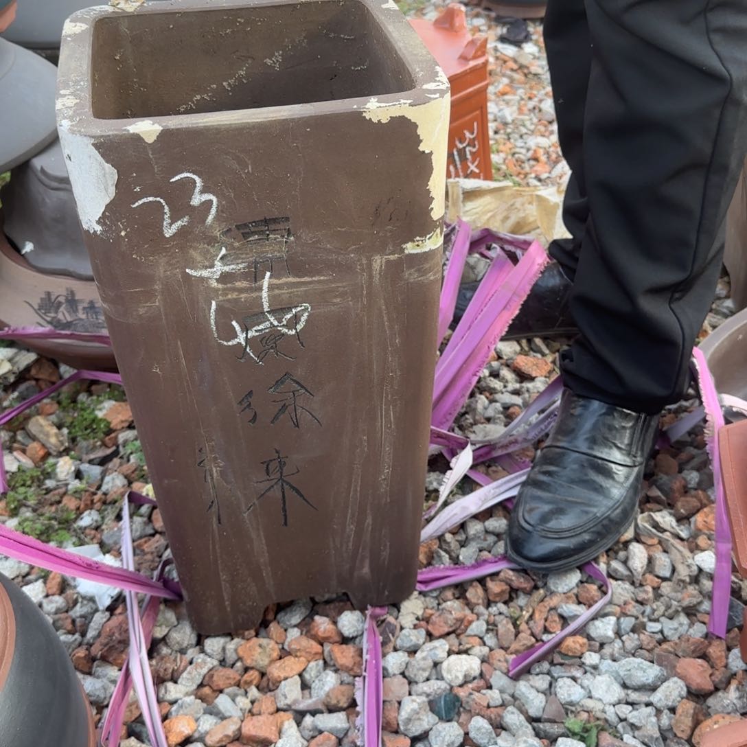 紫砂花盆盆景盆栽