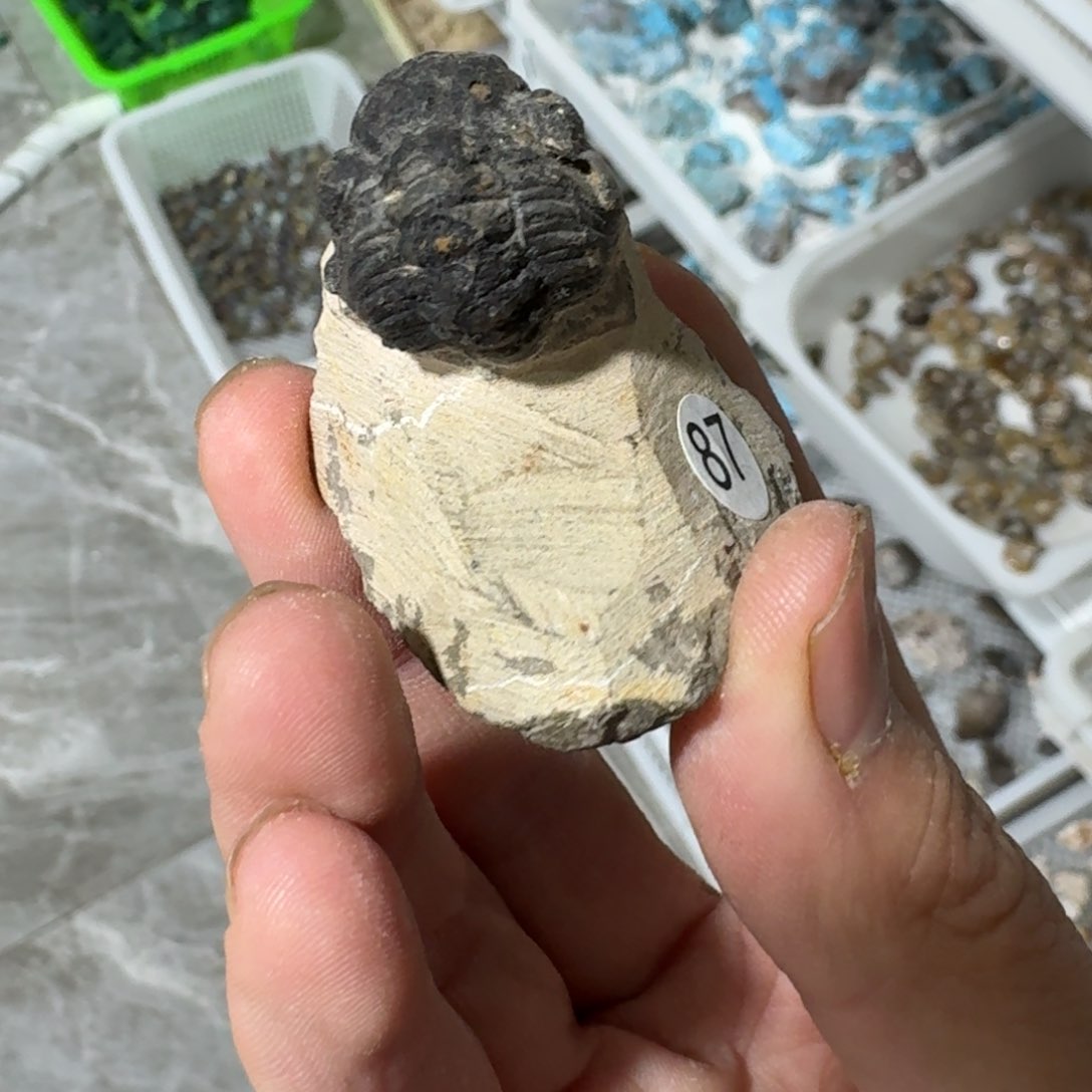 月下珠宝严选矿物