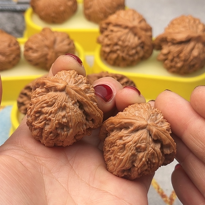 文玩核桃把件白狮子全品37