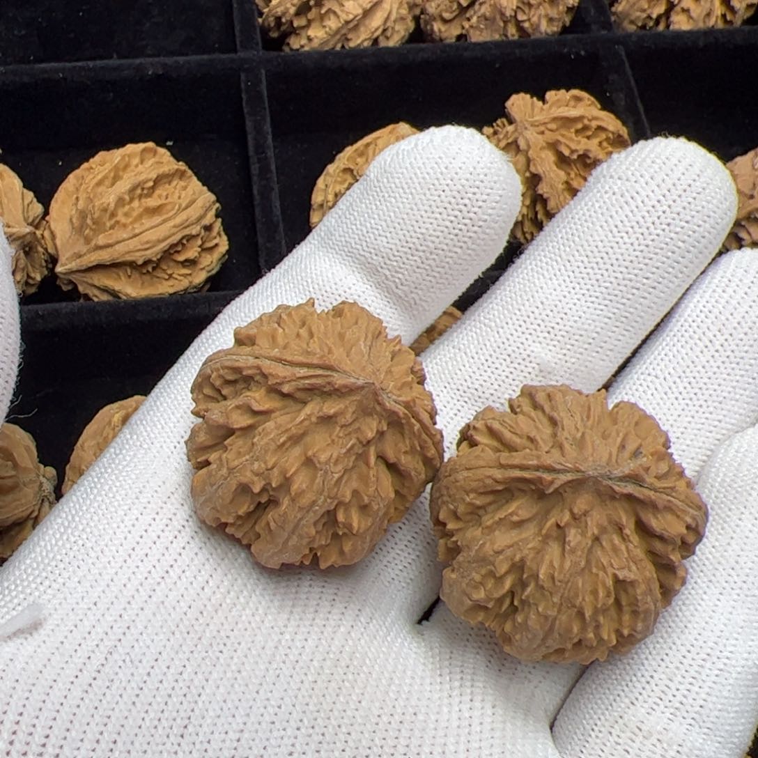 文玩核桃把件秦岭野生灯笼核桃