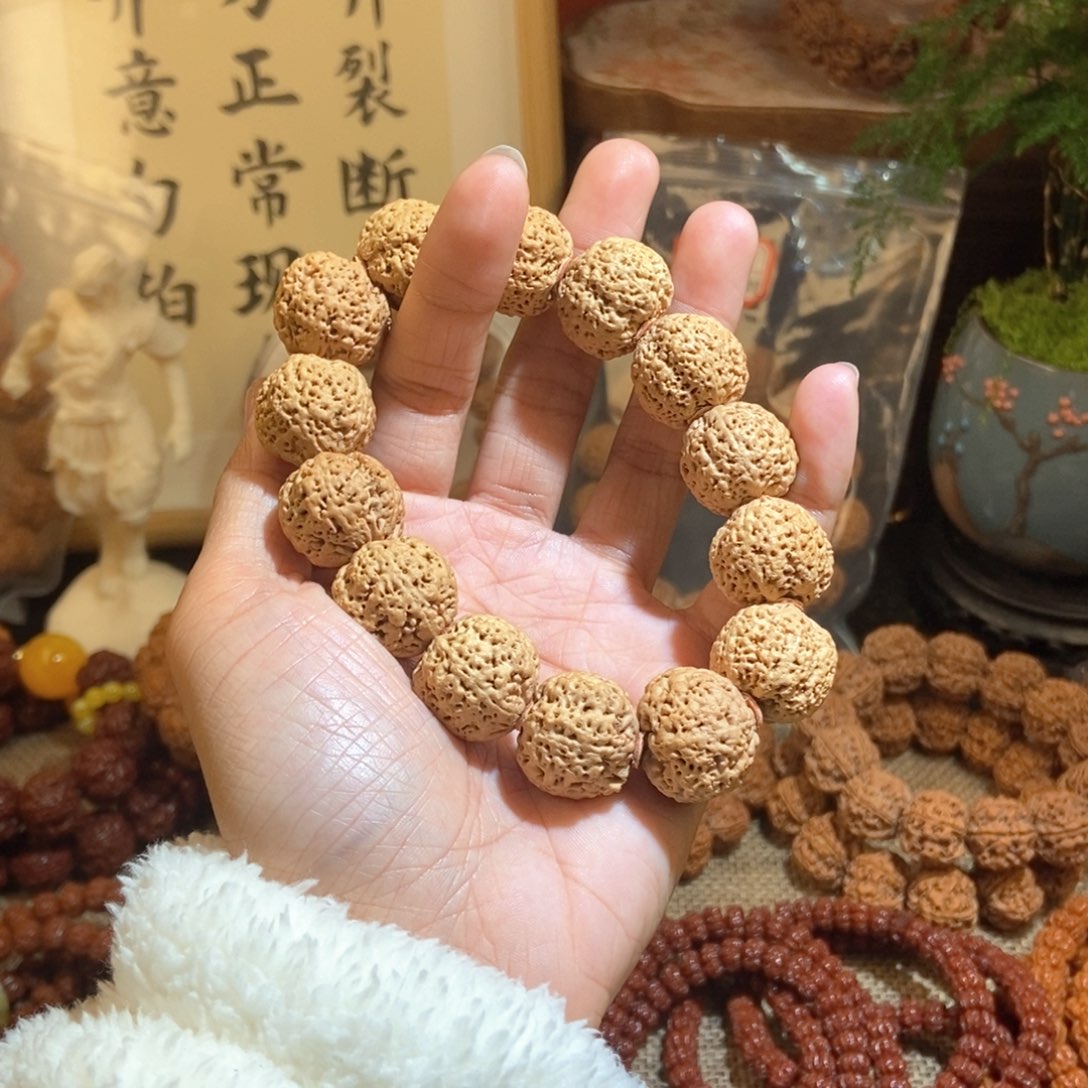 金刚菩提手串205原籽