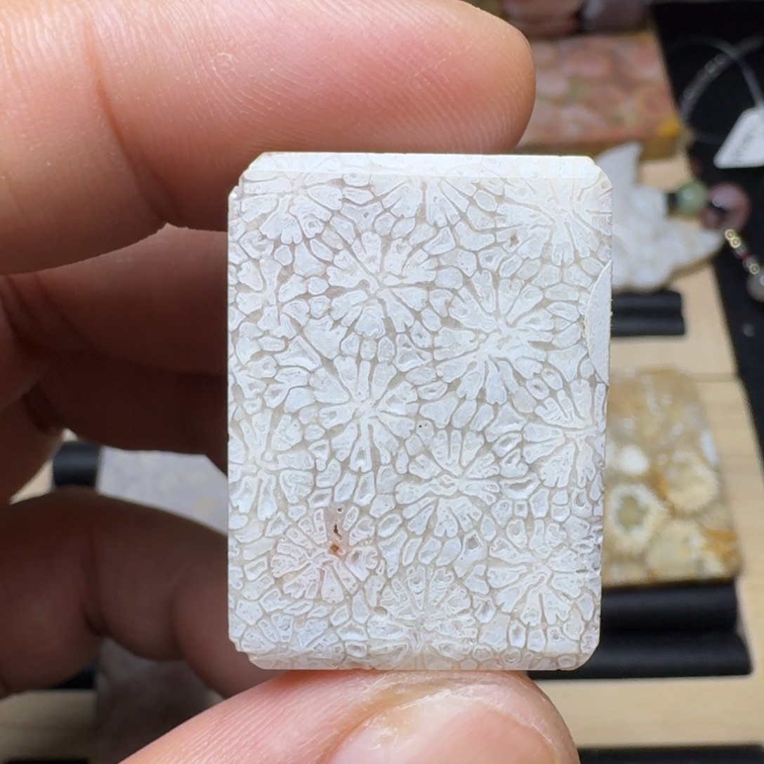 未镶嵌纯天然色有机玉石保真色硅化玉