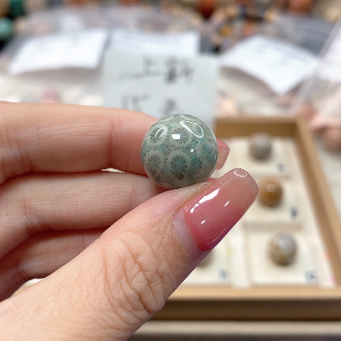 未镶嵌手链硅化珊瑚（珊瑚玉）L*553