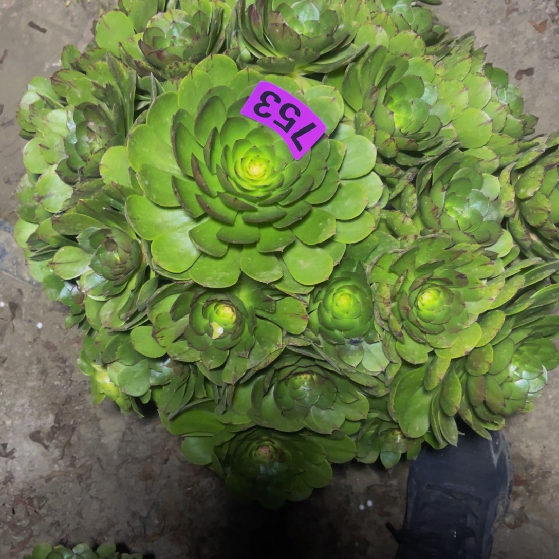 万拉丝14//—27包邮