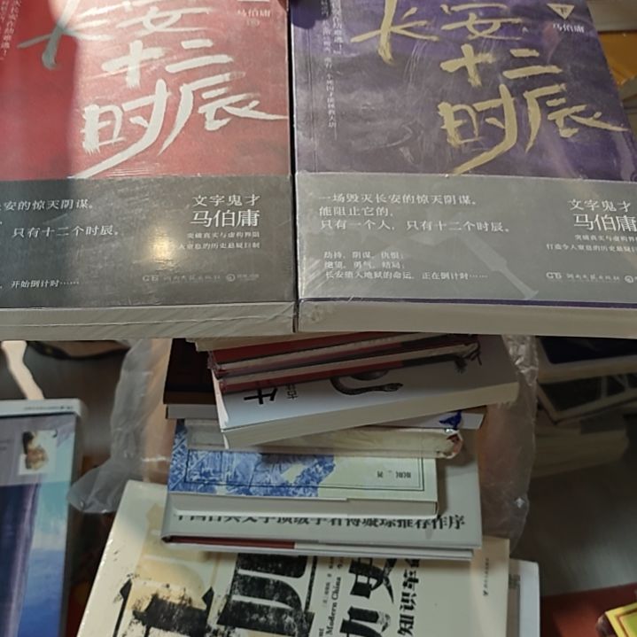 长安十二时辰两本一套务必塑封