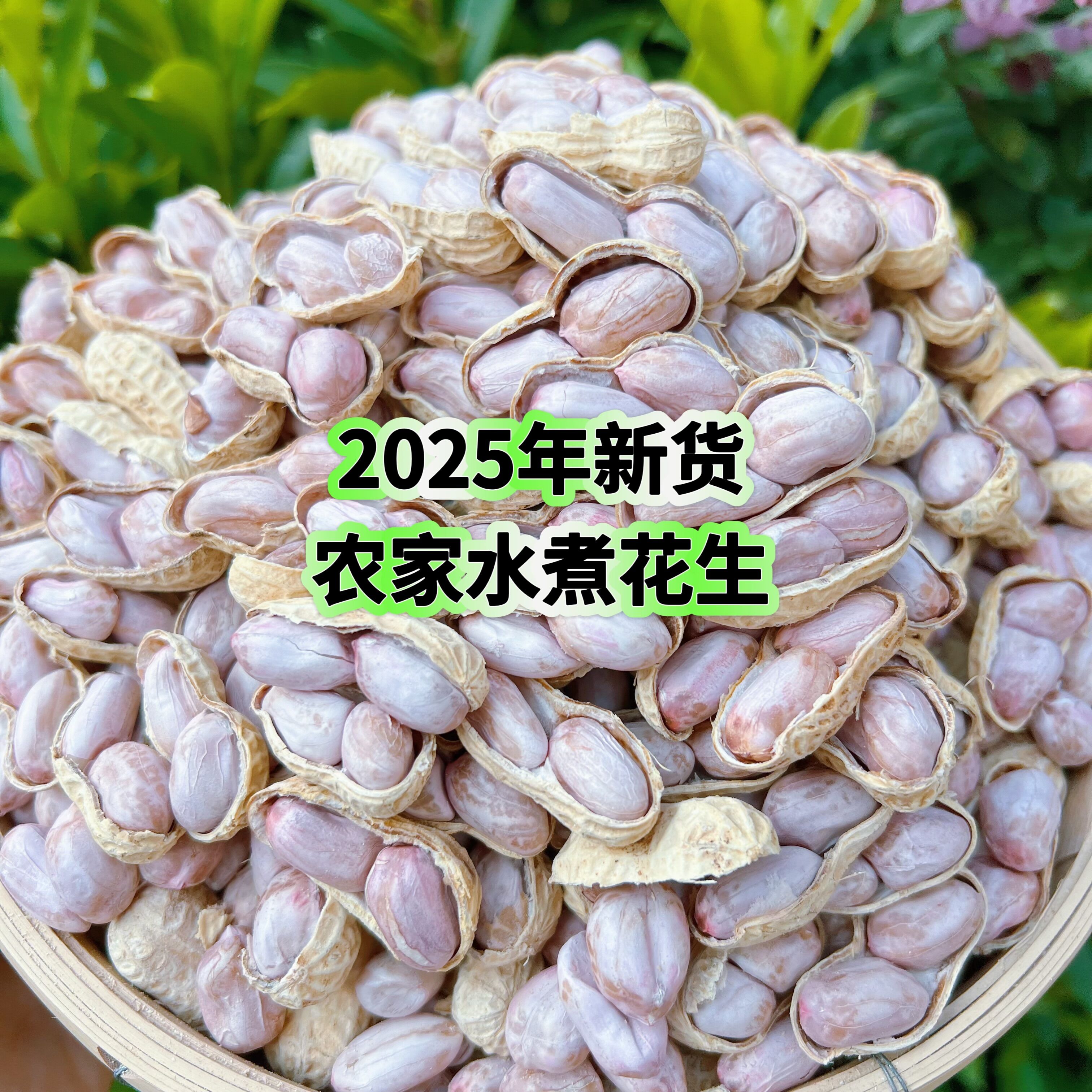 【2025年新货】水煮花生天然晒干日晒白玉咸干花生新鲜水煮咸干花生