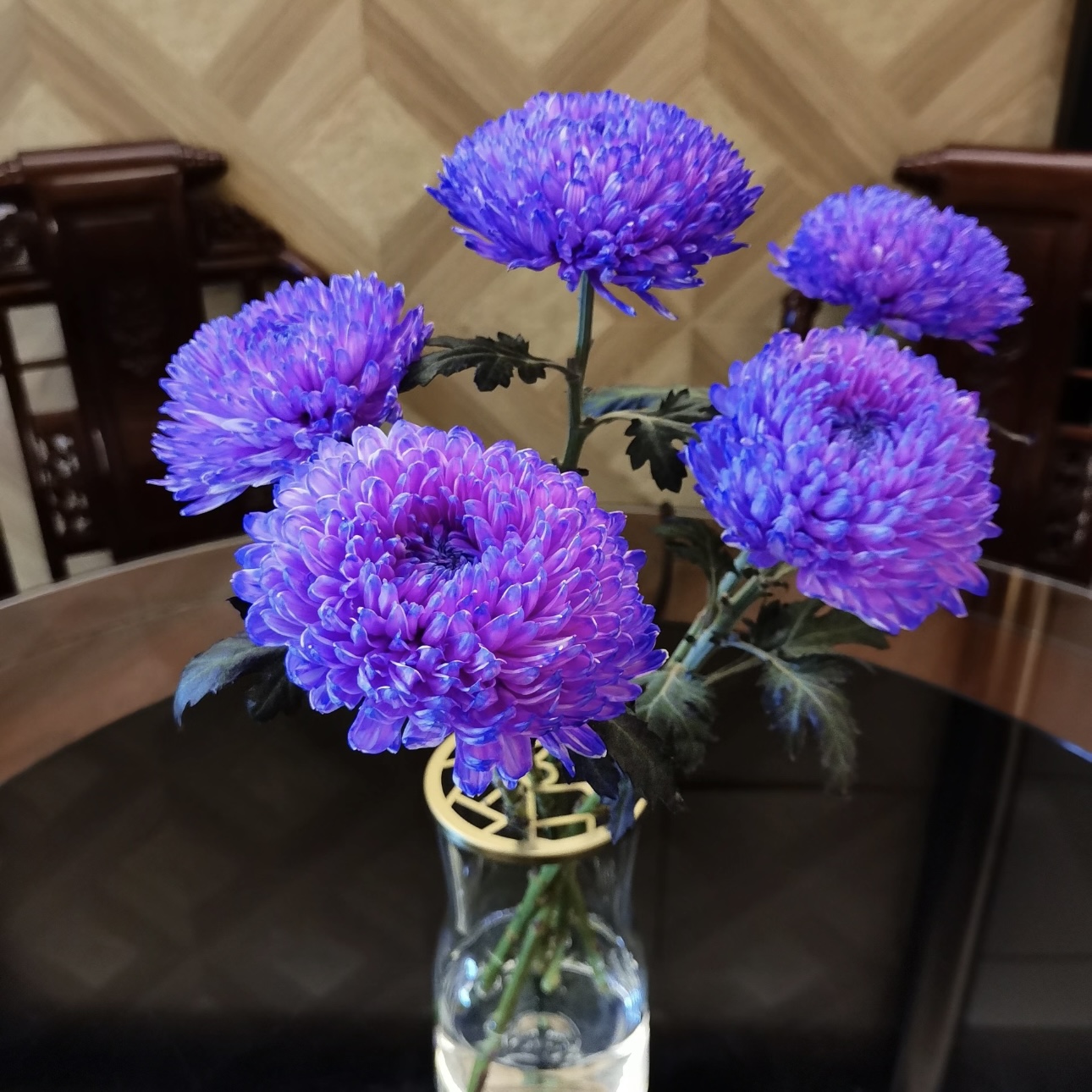 『牡丹菊·阿凡达紫』5枝 高品质牡丹菊  全场任意满两单起送 