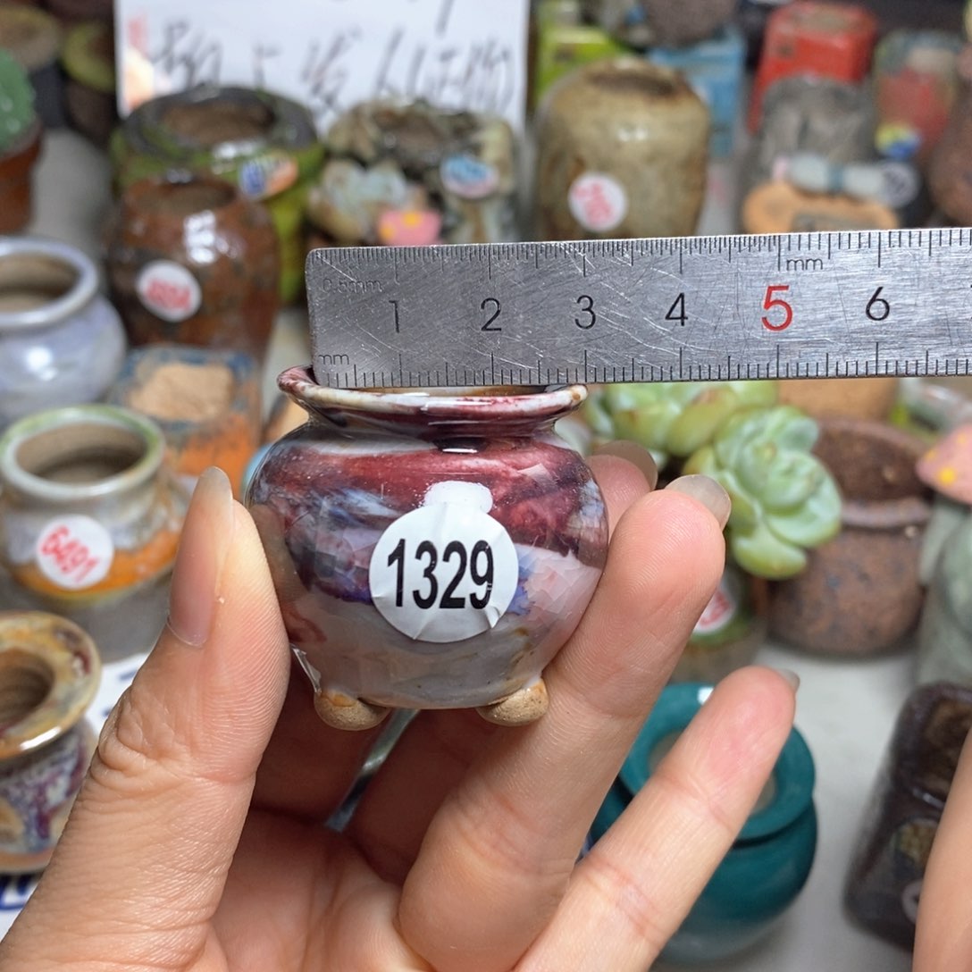 拍5送一个小礼物